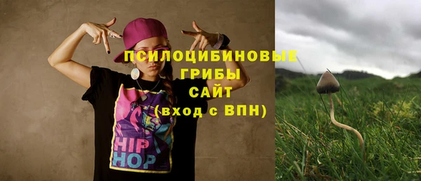 дурь Покачи