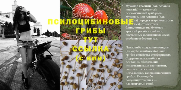 экстази Белокуриха
